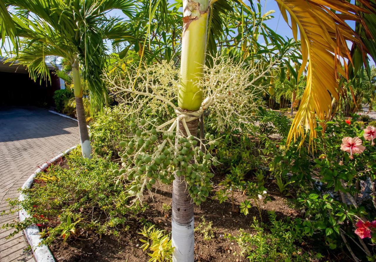 Nature'S Choice Home Richmond Palms, Jamaica Buitenkant foto