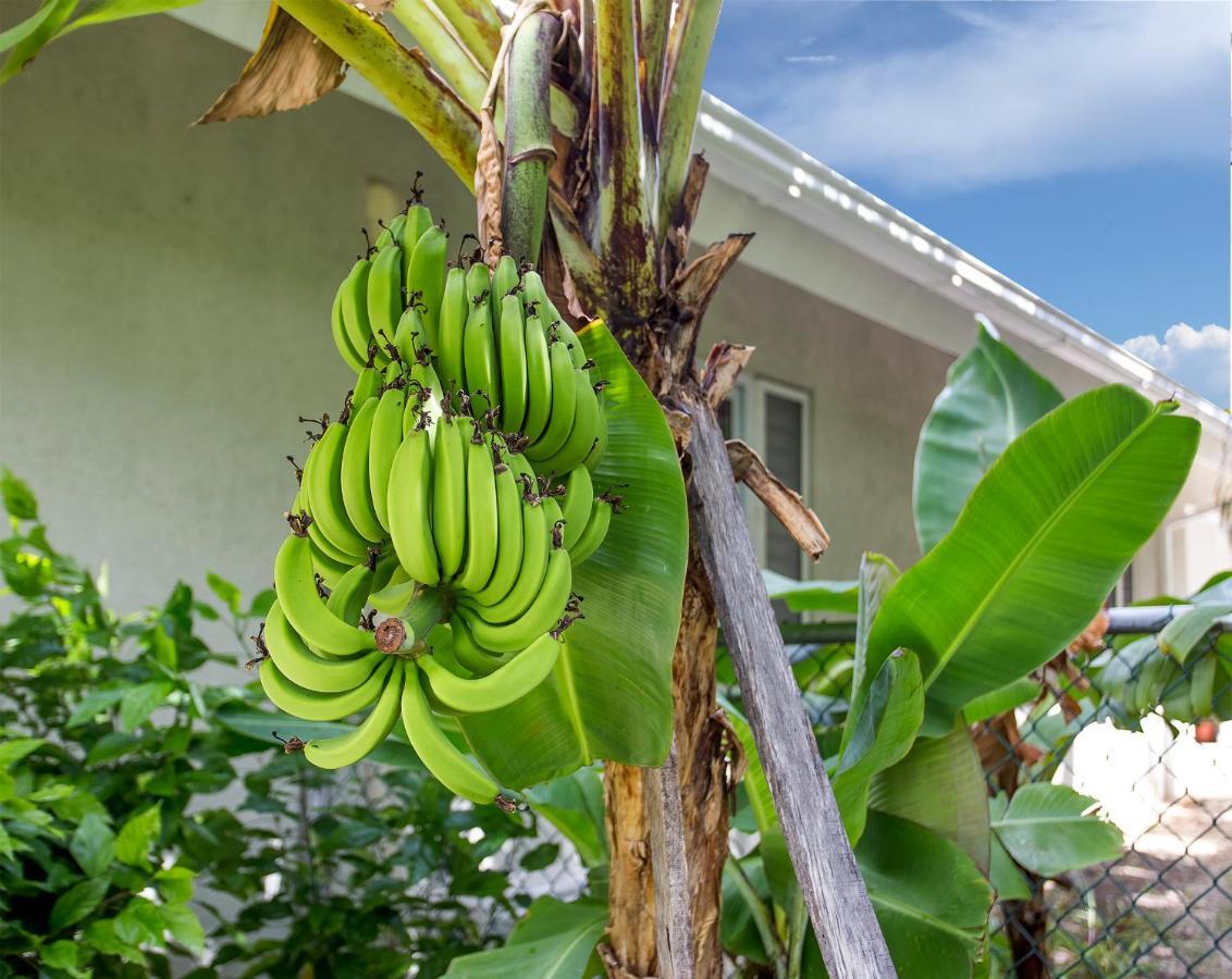 Nature'S Choice Home Richmond Palms, Jamaica Buitenkant foto